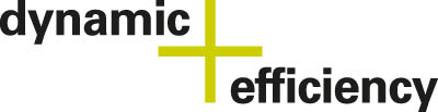 dynamic efficiency web